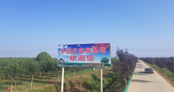 陕西宝枫园林科技工程有限公司